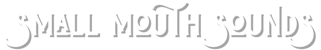 SMALL MOUTH SOUNDS by Bess Wohl