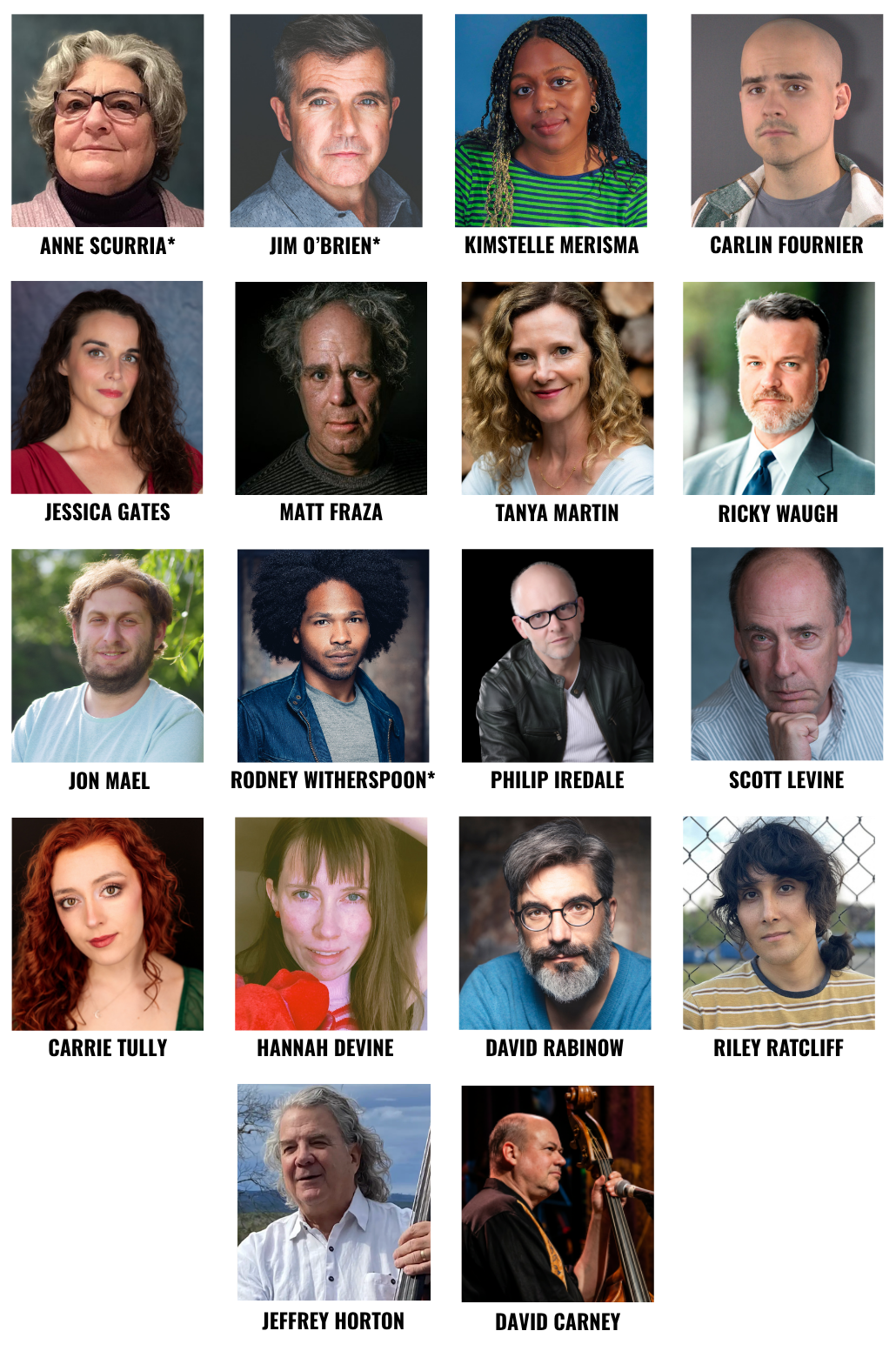 GIRL FROM THE NORTH COUNTRY at Wilbury Theatre Group cast list